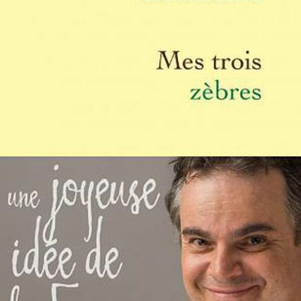 Mes trois Zèbres